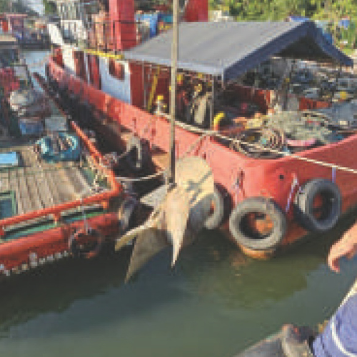 Offshore Operation Project